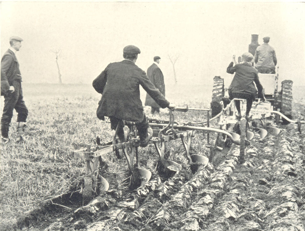 AGRICULTURAL MOTORS. Marshall's Motor Drawing 2 4-Furrow Ploughs 1912 print